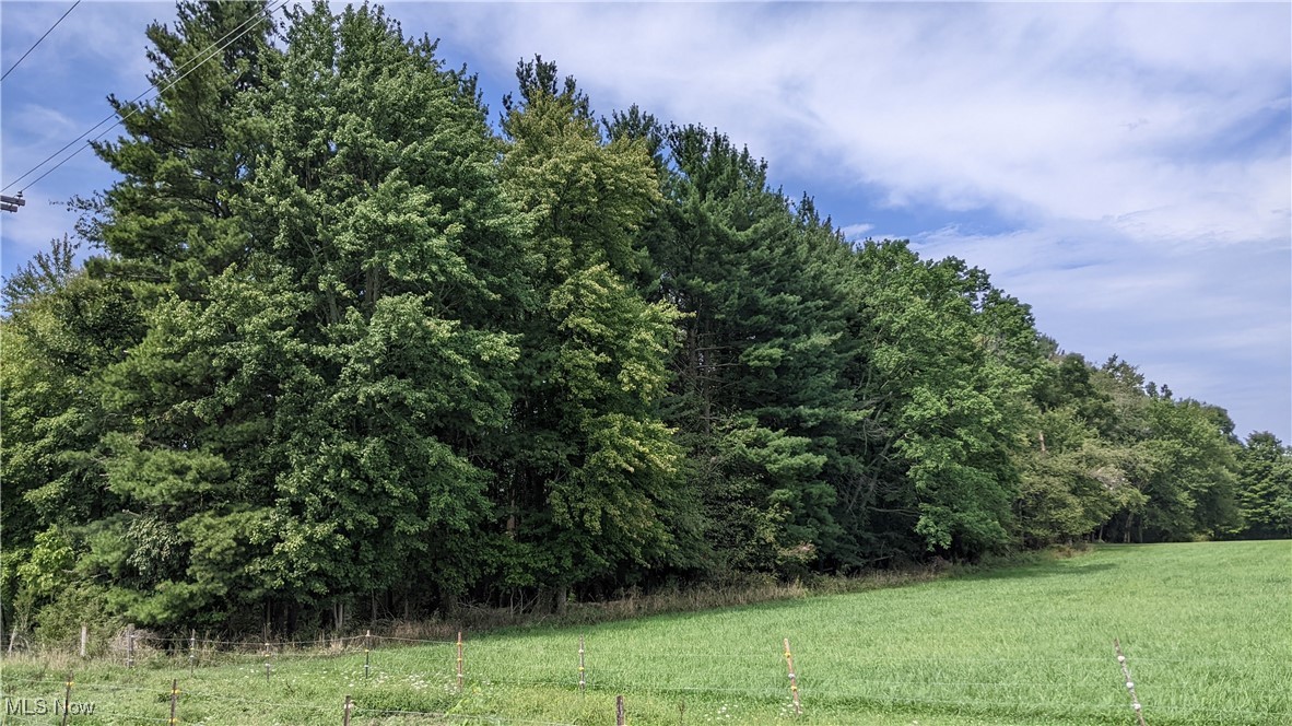 9376 Daniels Road Seville OH 44273