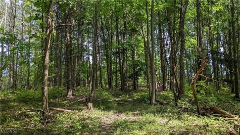 9376 Daniels Road Seville OH 44273