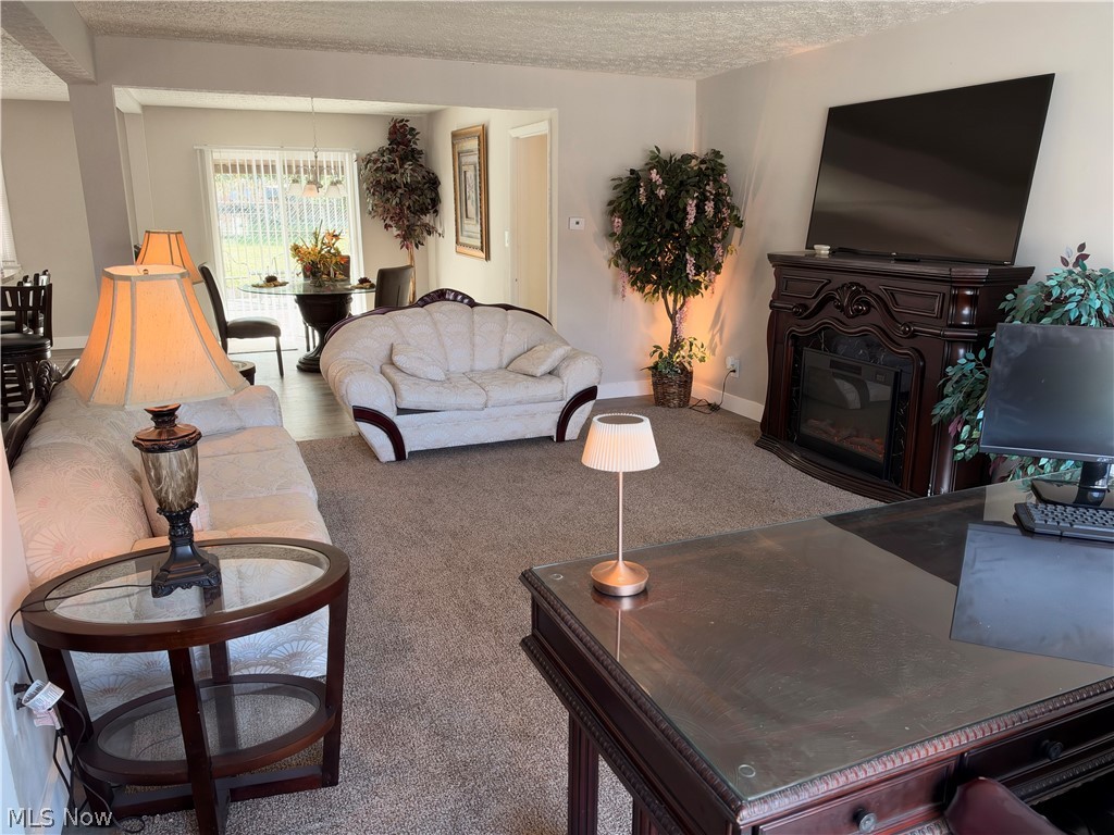 10 E Wellock Drive Akron OH 44319