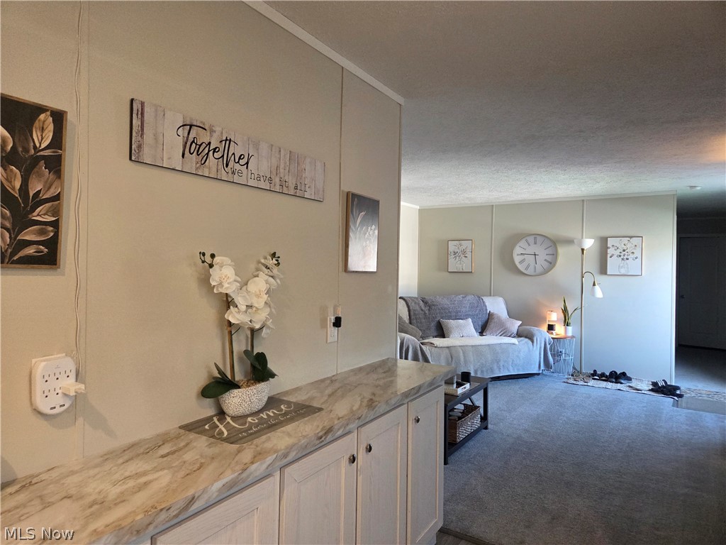 10039 State Route 700 Mantua OH 44255
