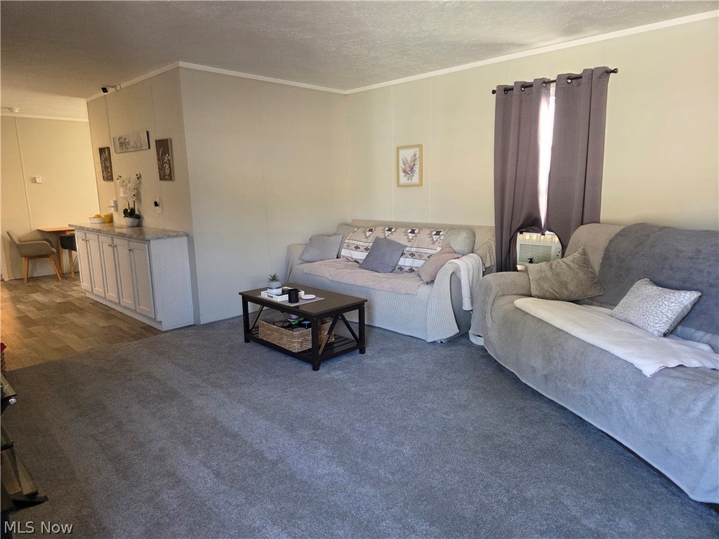 10039 State Route 700 Mantua OH 44255