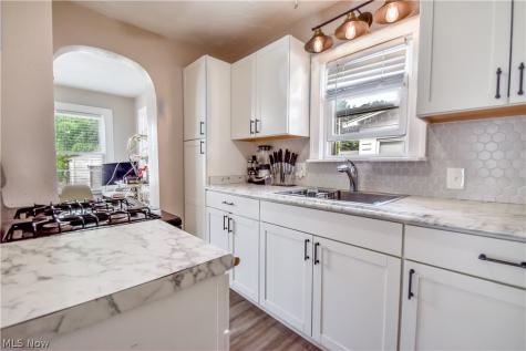 19151 Pasnow Avenue Euclid OH 44119