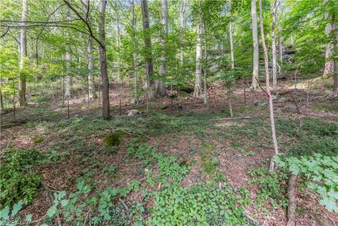 4723 Everett Road Richfield OH 44286