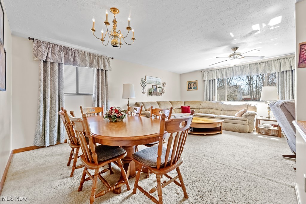 3993 Canterbury Drive Brunswick OH 44212