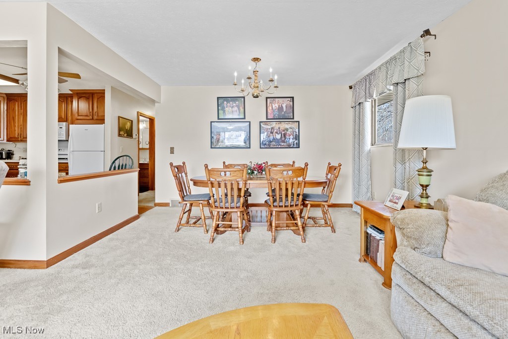 3993 Canterbury Drive Brunswick OH 44212