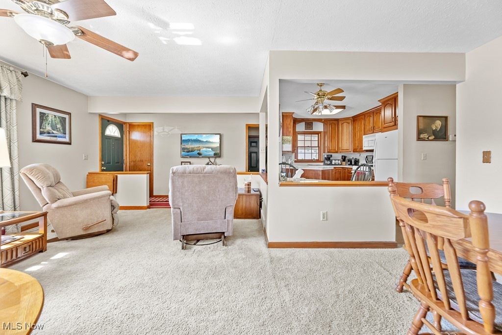 3993 Canterbury Drive Brunswick OH 44212