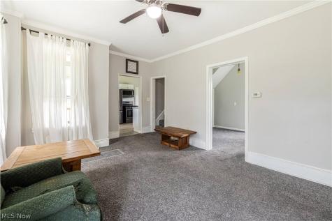 974 Chestnut Street Grafton OH 44044