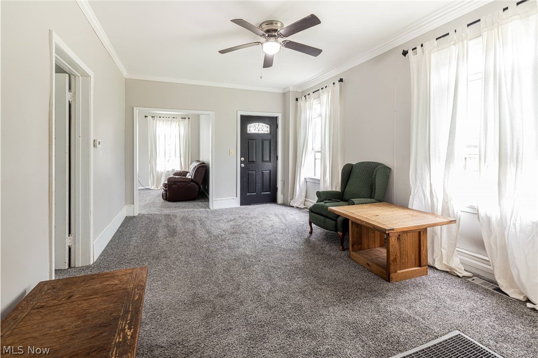 974 Chestnut Street Grafton OH 44044