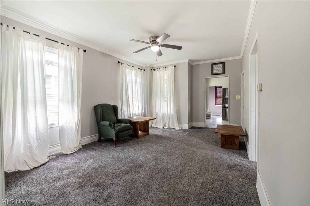 974 Chestnut Street Grafton OH 44044