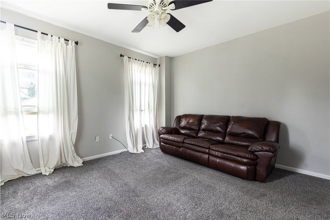 974 Chestnut Street Grafton OH 44044