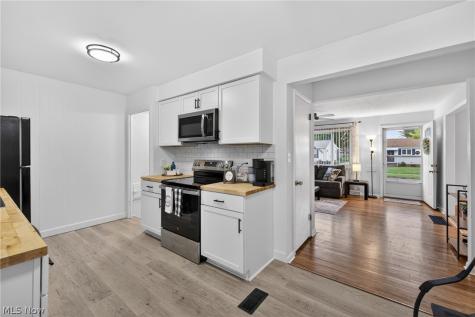30121 Vineyard Road Willowick OH 44095