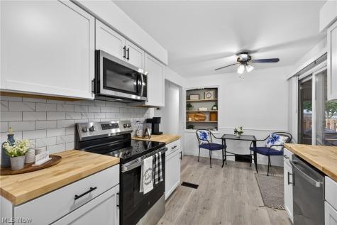 30121 Vineyard Road Willowick OH 44095