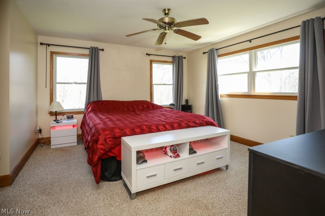 8651 Freedom Road Windham OH 44288