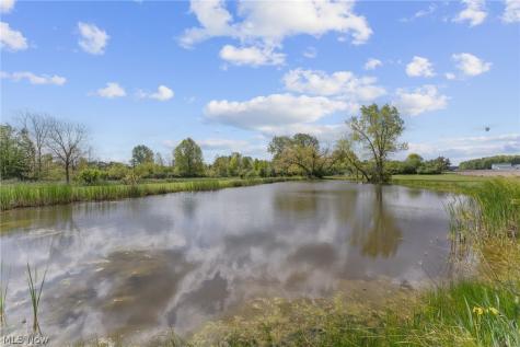 8120 Crow Road Litchfield OH 44253