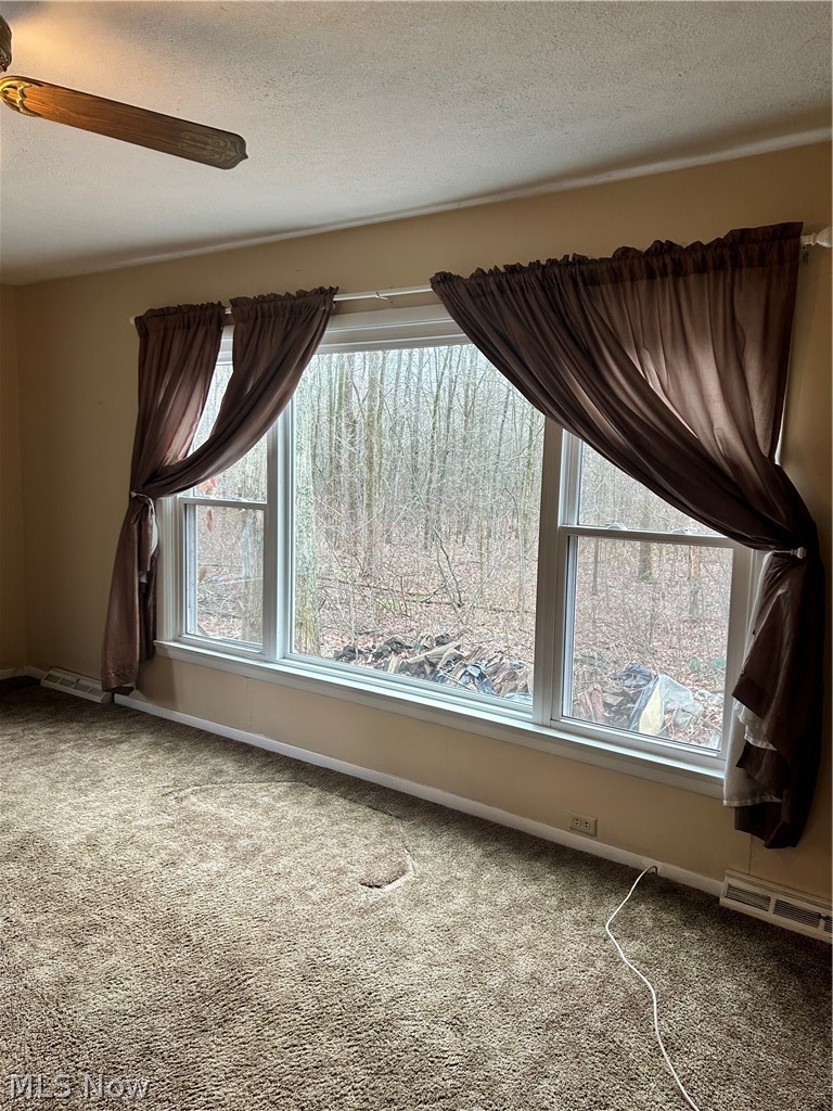 2394 Janice Drive Southington OH 44470