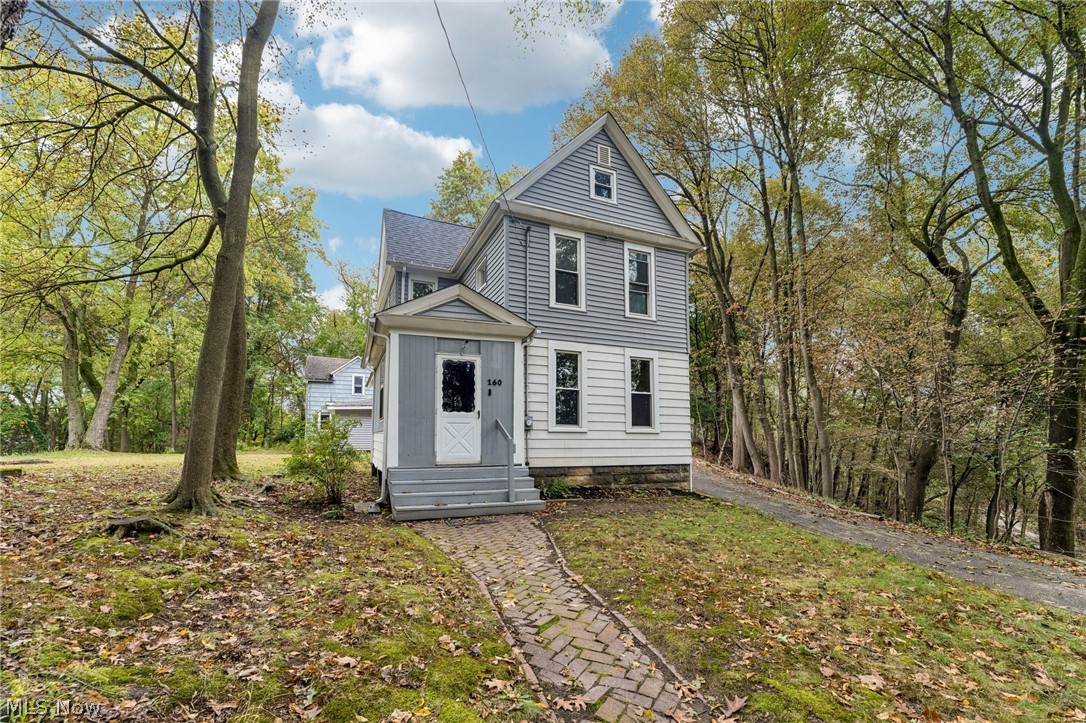 160 N Valley Street Akron OH 44303