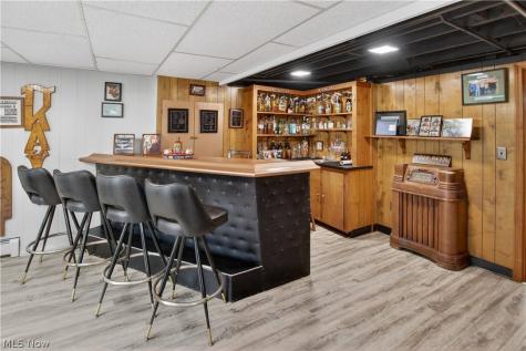 11209 Holshoe Road Homerville OH 44235