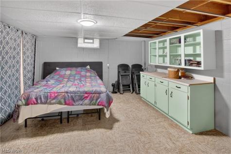 11209 Holshoe Road Homerville OH 44235
