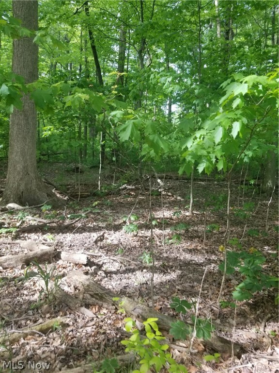 6735 W Smith Road Medina OH 44256