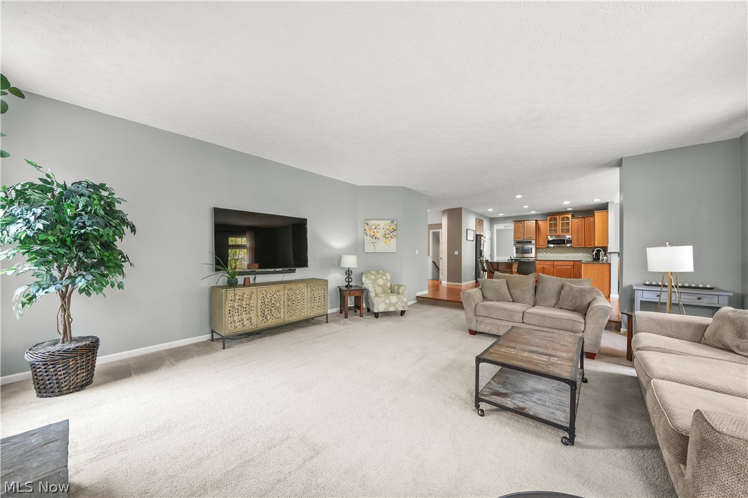 9337 Adam Run Twinsburg OH 44087
