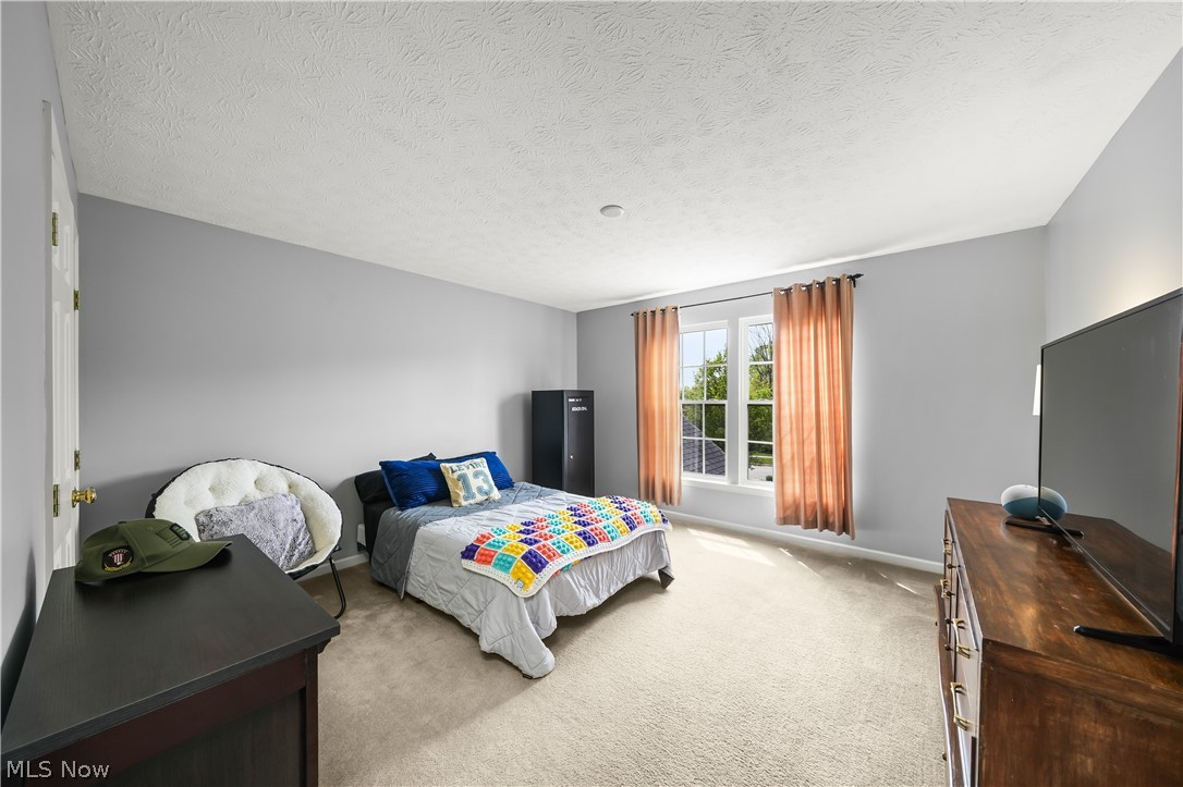 9337 Adam Run Twinsburg OH 44087