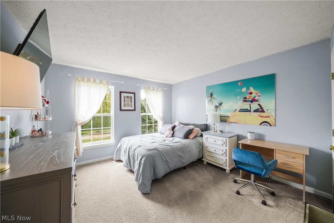 9337 Adam Run Twinsburg OH 44087