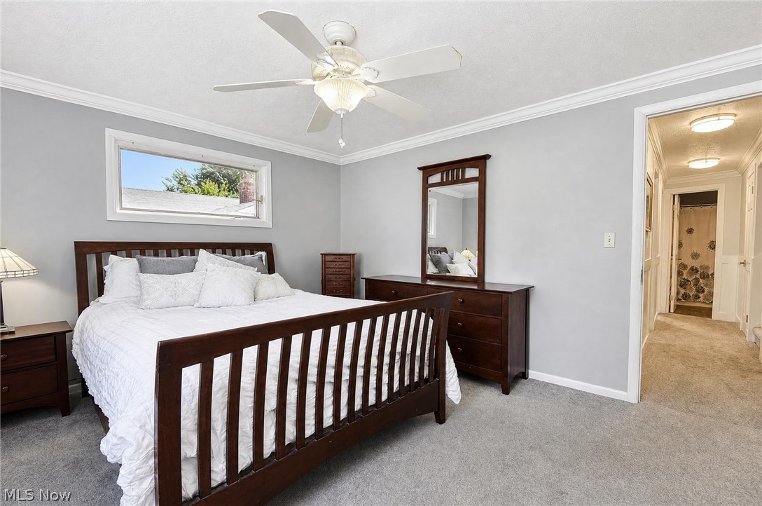 30216 Arnold Road Willowick OH 44095