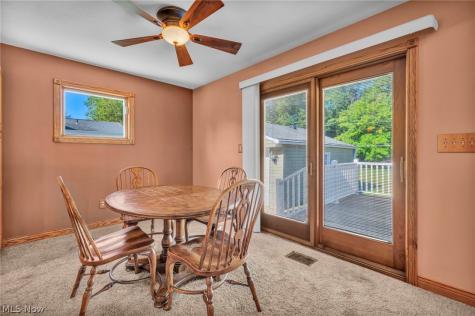 5234 Karen Isle Drive Willoughby OH 44094