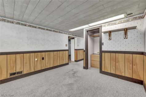 5234 Karen Isle Drive Willoughby OH 44094