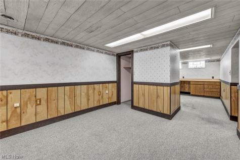 5234 Karen Isle Drive Willoughby OH 44094