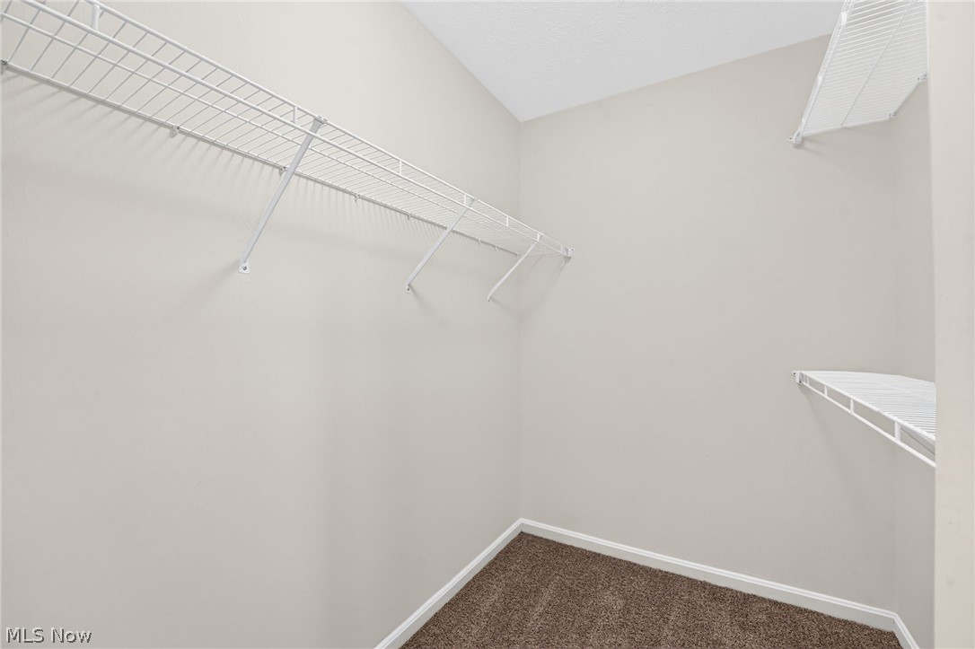8832 Wheaton Place North Ridgeville OH 44039