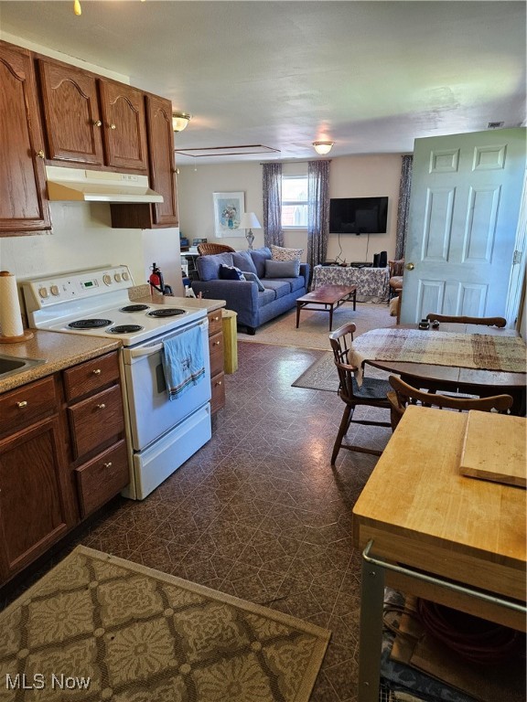 1180 Hearn Drive Madison OH 44057