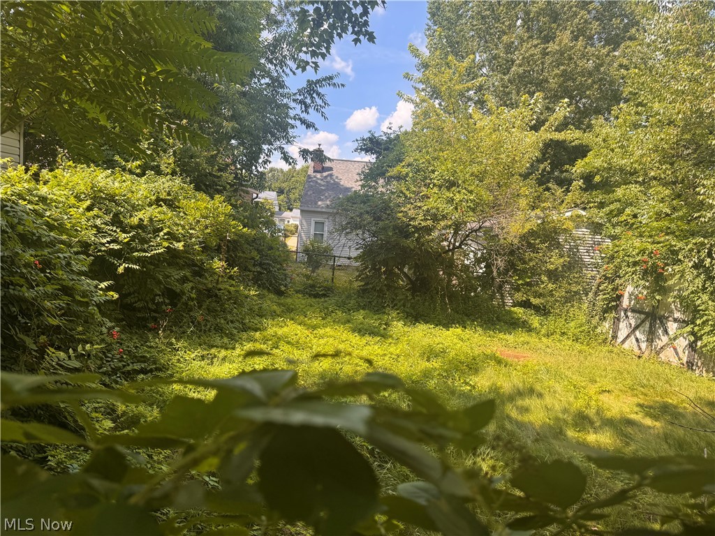 1561 Simcoe Avenue Akron OH 44305