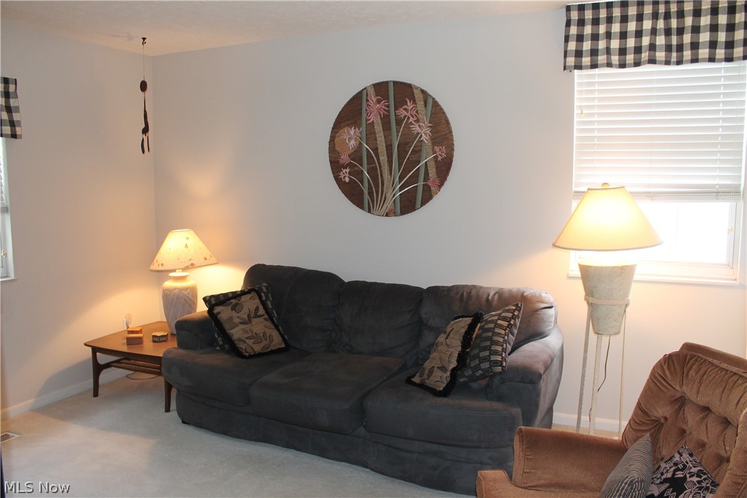 8293 Robinwood Terrace Macedonia OH 44056