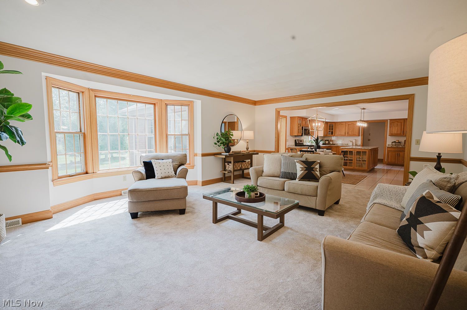 111 Kings Lane Canfield OH 44406