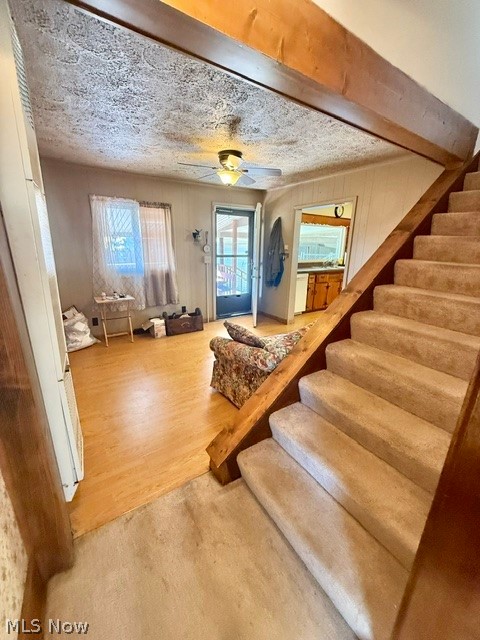 317 Maple Street Niles OH 44446