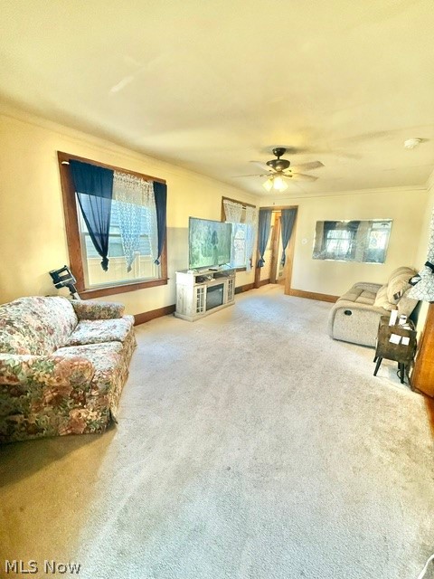 317 Maple Street Niles OH 44446