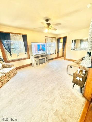317 Maple Street Niles OH 44446