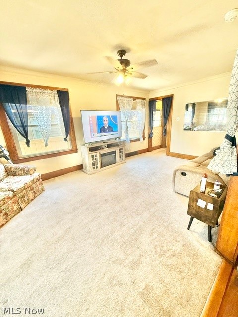 317 Maple Street Niles OH 44446