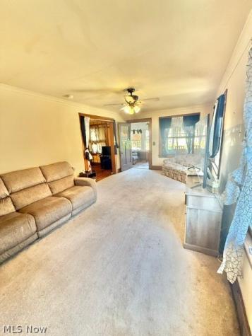 317 Maple Street Niles OH 44446