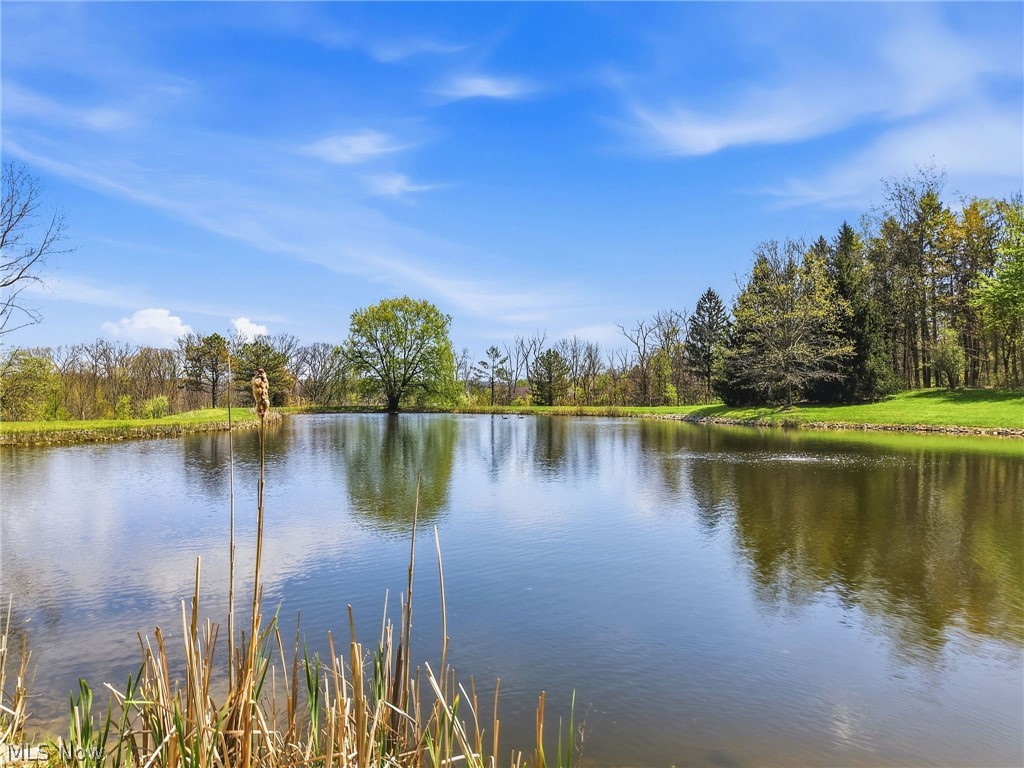 1803 Whisper Bluff Trail Hinckley OH 44233