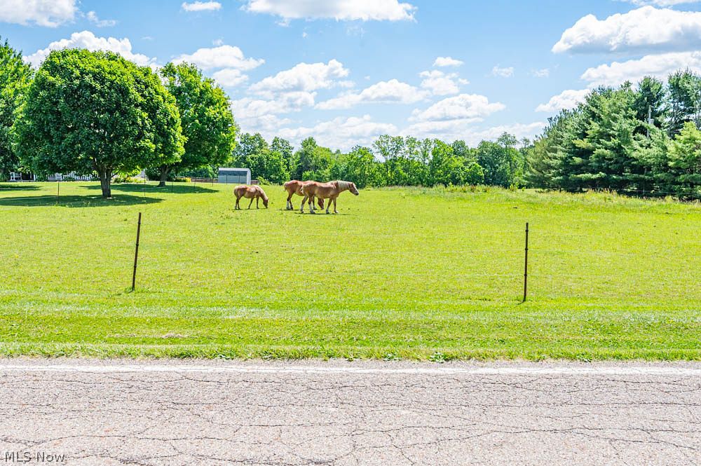 11800 Detwiler Road Columbiana OH 44408