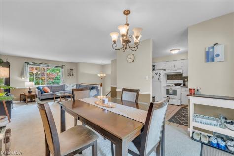 342 Brad Drive Brunswick OH 44212