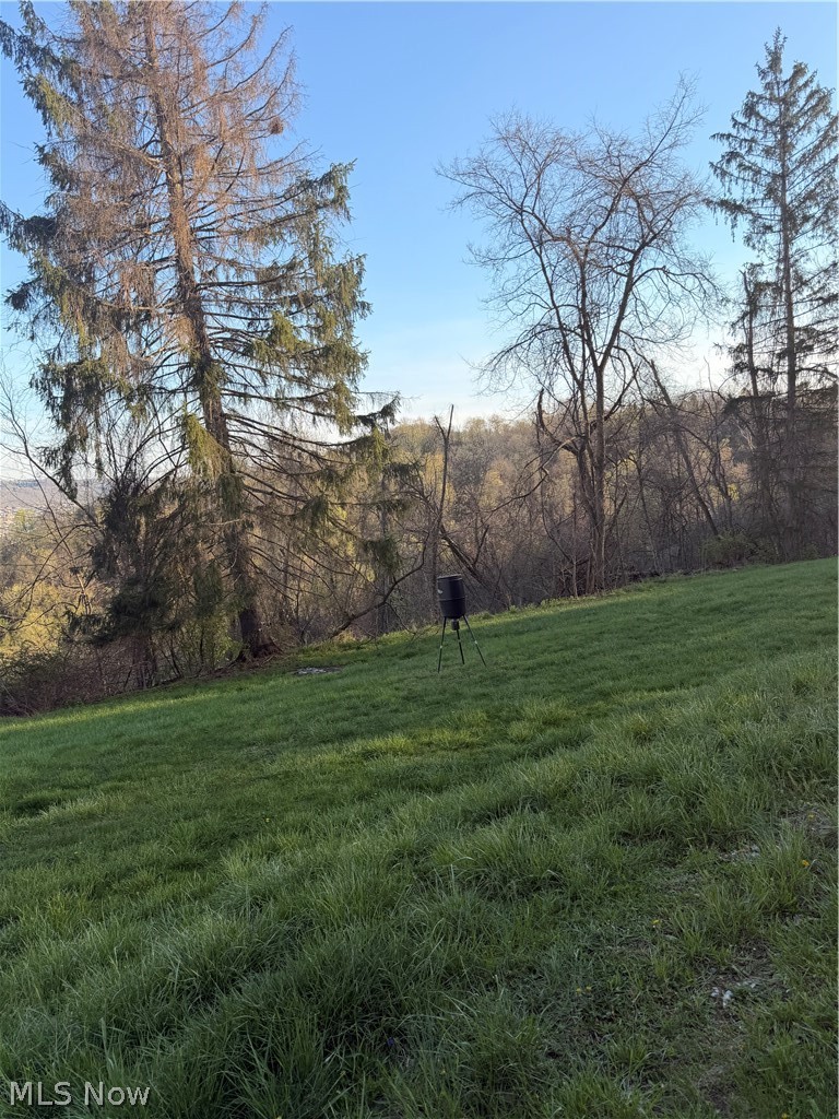 57585 Patty Mine Road Martins Ferry OH 43935