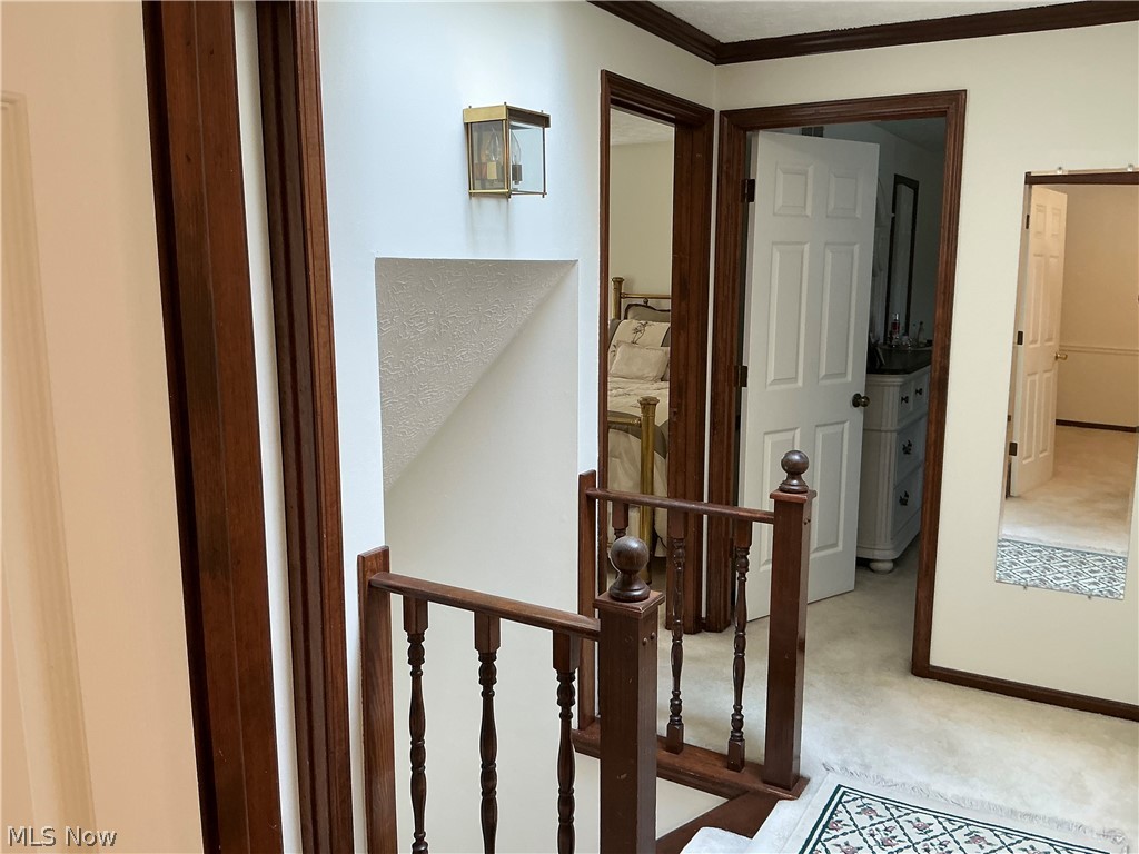 13592 Peppertree Avenue NW Mogadore OH 44201