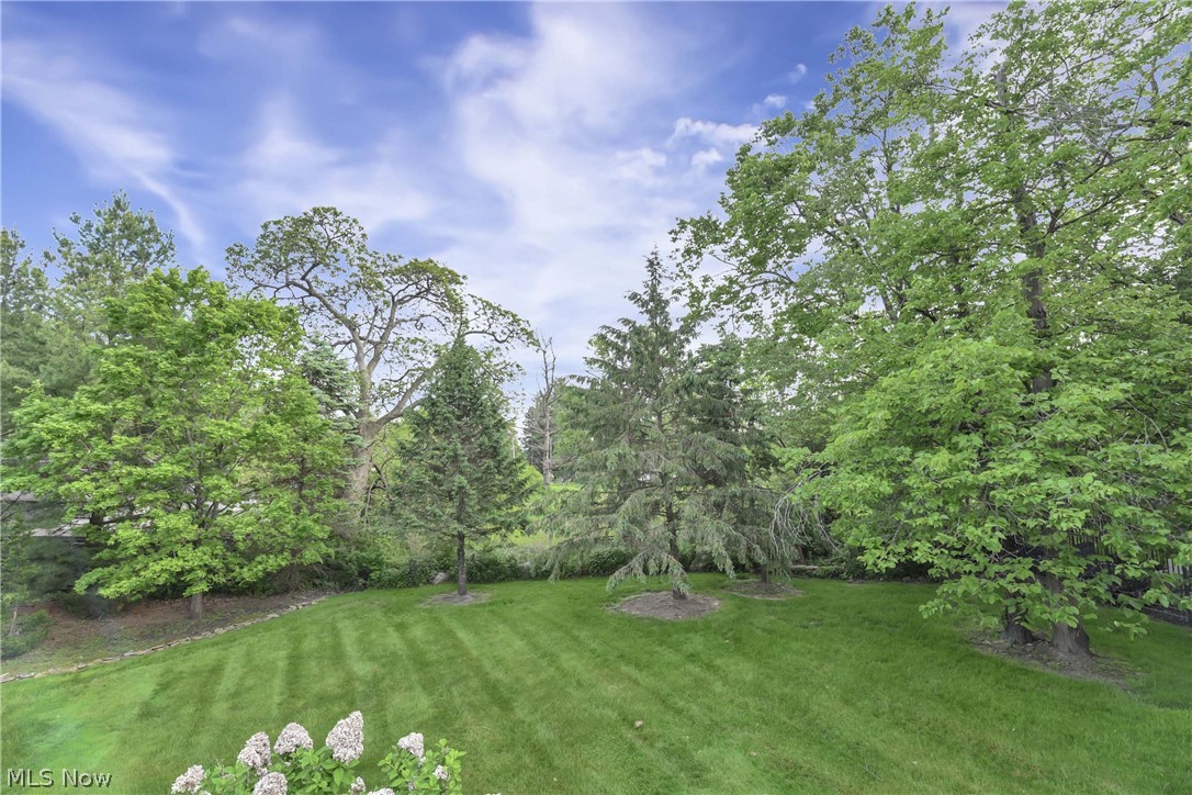 6280 Williams Drive Broadview Heights OH 44147