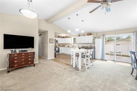 1487 Yale Drive Brunswick OH 44212