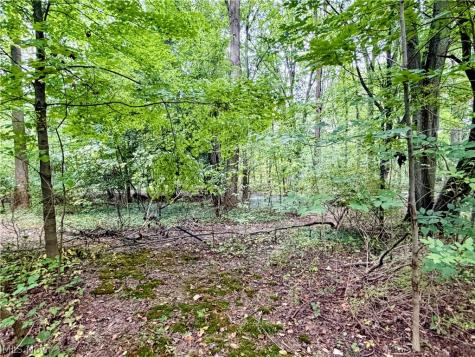 1751 Turkeyfoot Lake Road Akron OH 44203