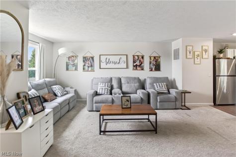5709 Burlington Drive Chippewa Lake OH 44215