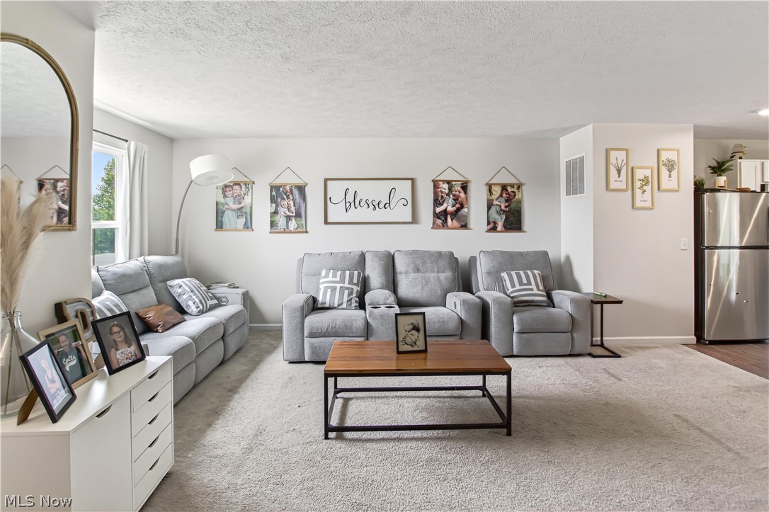 5709 Burlington Drive Chippewa Lake OH 44215
